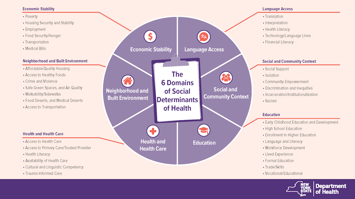 Social Determinants of Health catagories