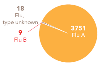Follow this link to view a table of all positive flu reports