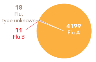 Follow this link to view a table of all positive flu reports