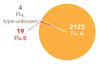 Follow this link to view a table of all positive flu reports