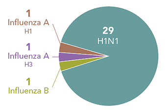 Follow this link to view a table of subtypes tested at wadsworth center