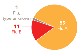 Follow this link to view a table of all positive flu reports