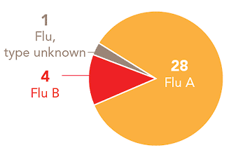 Follow this link to view a table of all positive flu reports