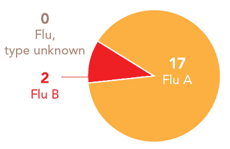 Follow this link to view a table of all positive flu reports