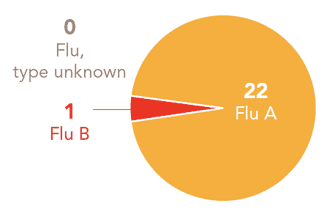 Follow this link to view a table of all positive flu reports