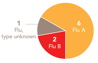 Follow this link to view a table of all positive flu reports
