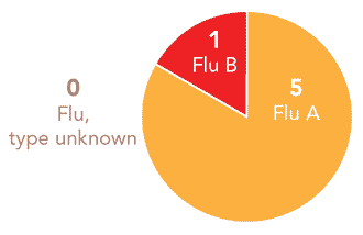 Follow this link to view a table of all positive flu reports