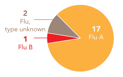 Follow this link to view a table of all positive flu reports