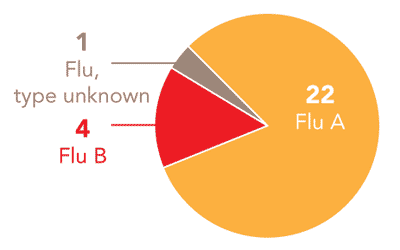 Follow this link to view a table of all positive flu reports