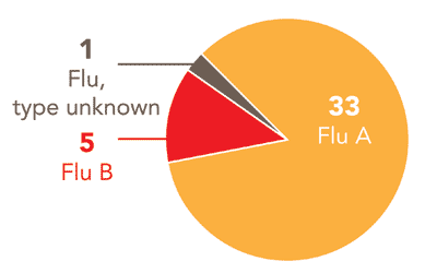 Follow this link to view a table of all positive flu reports