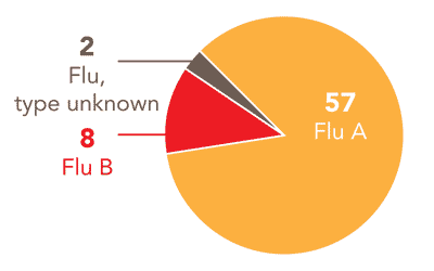 Follow this link to view a table of all positive flu reports