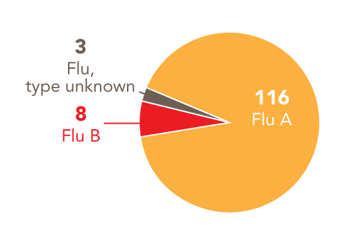 Follow this link to view a table of all positive flu reports