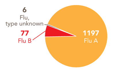 Follow this link to view a table of all positive flu reports