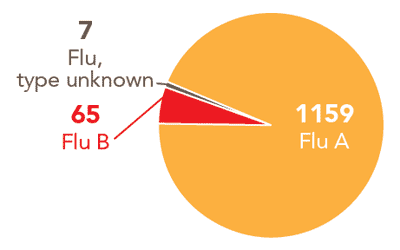 Follow this link to view a table of all positive flu reports