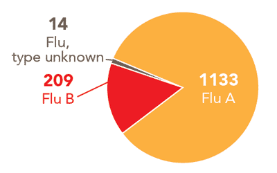 Follow this link to view a table of all positive flu reports