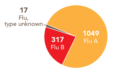 Follow this link to view a table of all positive flu reports