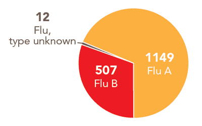 Follow this link to view a table of all positive flu reports