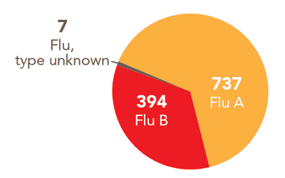 Follow this link to view a table of all positive flu reports