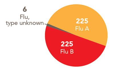 Follow this link to view a table of all positive flu reports
