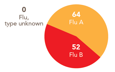 Follow this link to view a table of all positive flu reports
