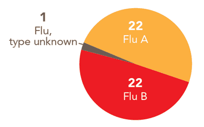 Follow this link to view a table of all positive flu reports