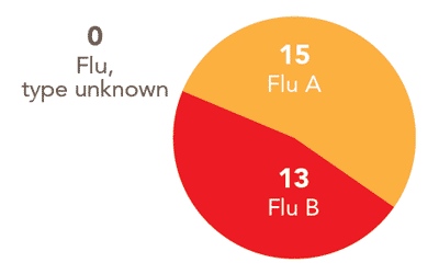 Follow this link to view a table of all positive flu reports