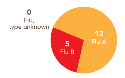 Follow this link to view a table of all positive flu reports
