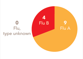 Follow this link to view a table of all positive flu reports