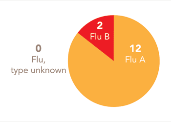 Follow this link to view a table of all positive flu reports