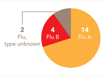 Follow this link to view a table of all positive flu reports