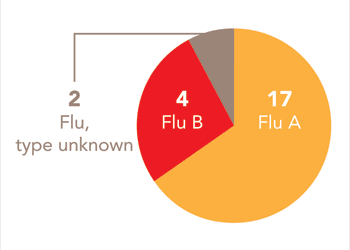 Follow this link to view a table of all positive flu reports