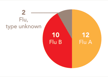 Follow this link to view a table of all positive flu reports