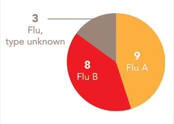 Follow this link to view a table of all positive flu reports