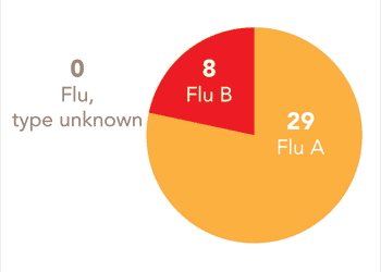 Follow this link to view a table of all positive flu reports