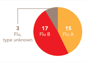 Follow this link to view a table of all positive flu reports