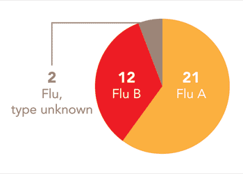 Follow this link to view a table of all positive flu reports