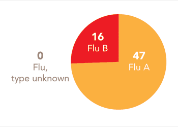 Follow this link to view a table of all positive flu reports