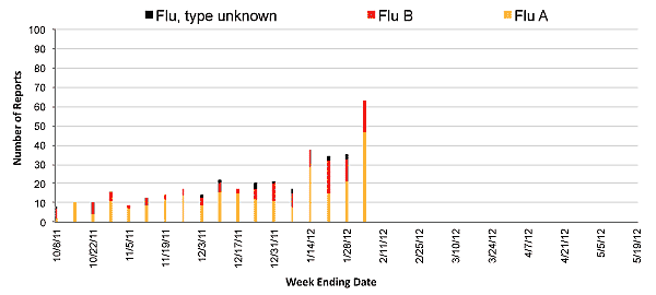 Follow this link to view a table of all positive flu reports (season to date, by week)