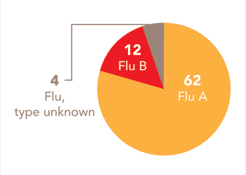 Follow this link to view a table of all positive flu reports