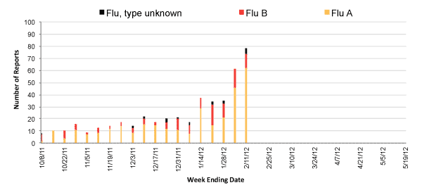 Follow this link to view a table of all positive flu reports (season to date, by week)