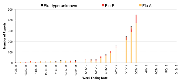 Follow this link to view a table of all positive flu reports (season to date, by week)