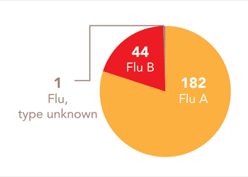 Follow this link to view a table of all positive flu reports