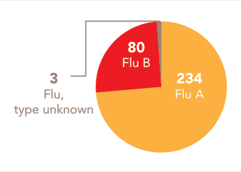 Follow this link to view a table of all positive flu reports