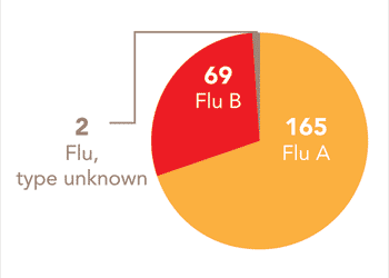 Follow this link to view a table of all positive flu reports