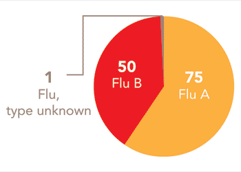 Follow this link to view a table of all positive flu reports