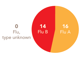 Follow this link to view a table of all positive flu reports