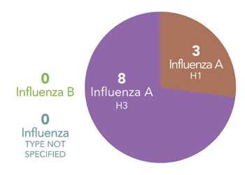 Follow this link to view a table of subtypes tested at wadsworth center