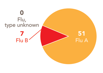 Follow this link to view a table of all positive flu reports