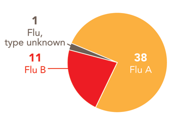 Follow this link to view a table of all positive flu reports