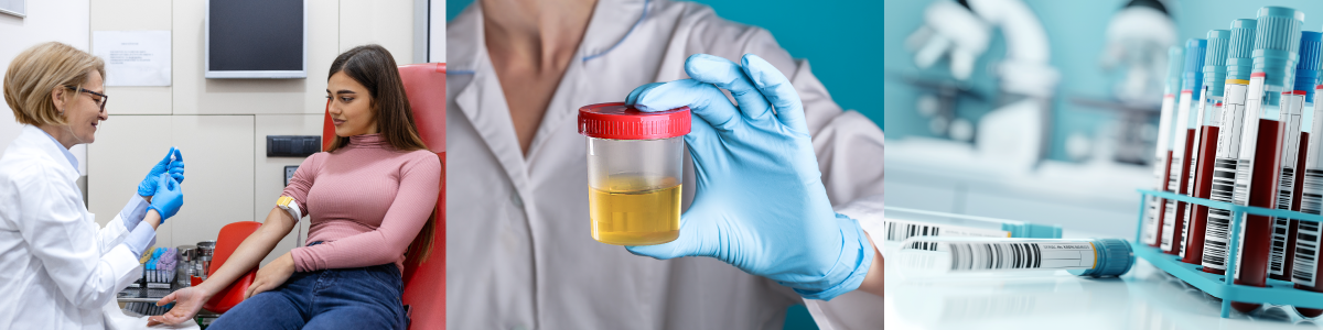 woman getting blood drawn, urine sample, vials of blood